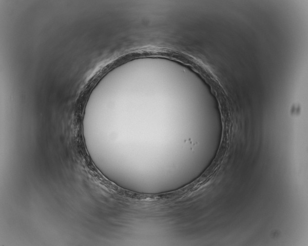 X0000113621160200909181109