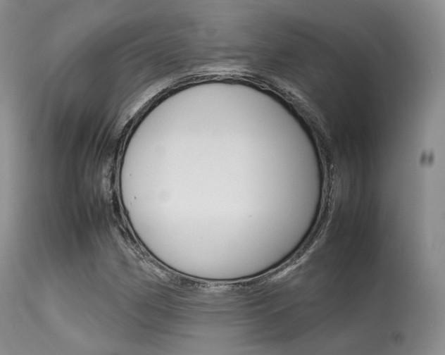 X0000113621162200909181109