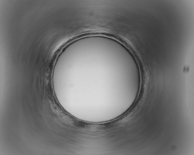 X0000113621163200909181109