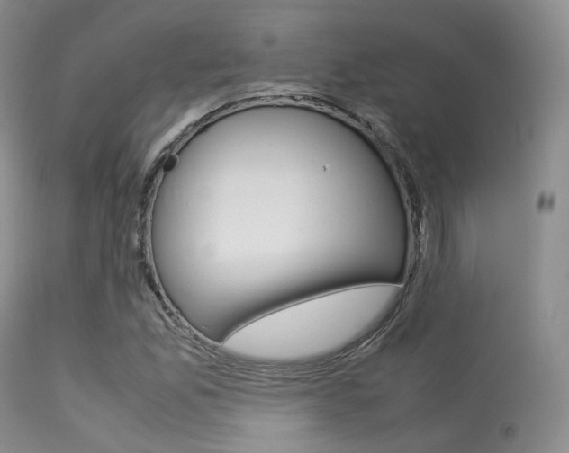 X0000113621165200909181109
