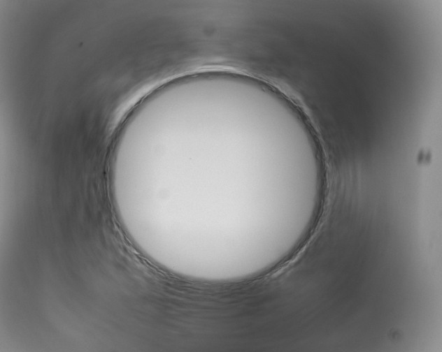 X0000113621167200909181109
