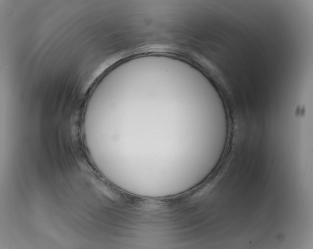 X0000113621170200909181109