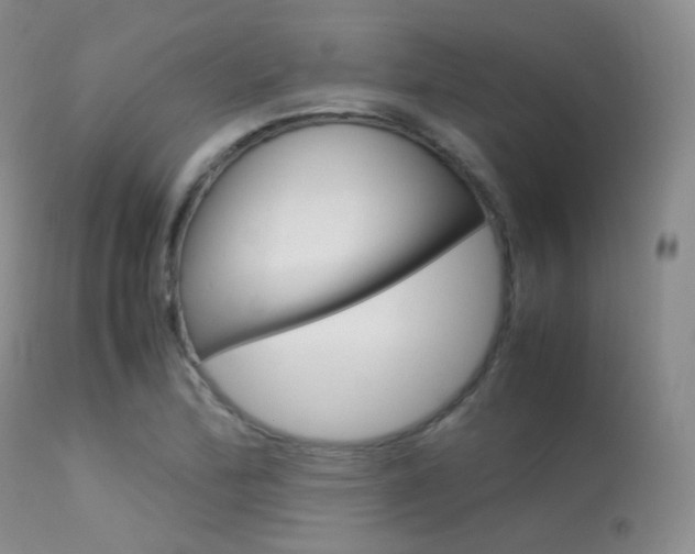 X0000113621172200909181109