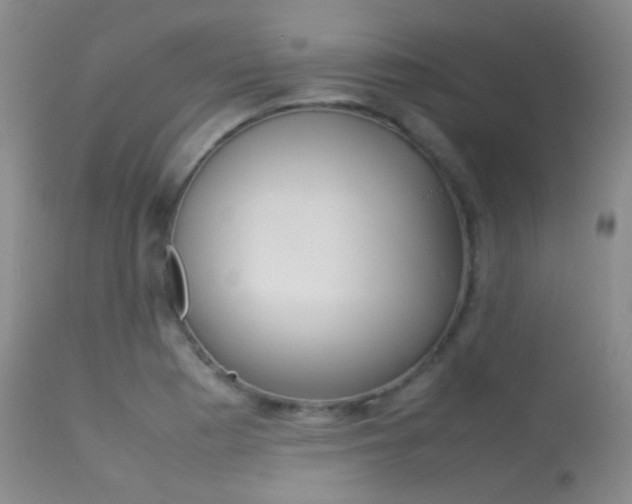 X0000113621177200909181109