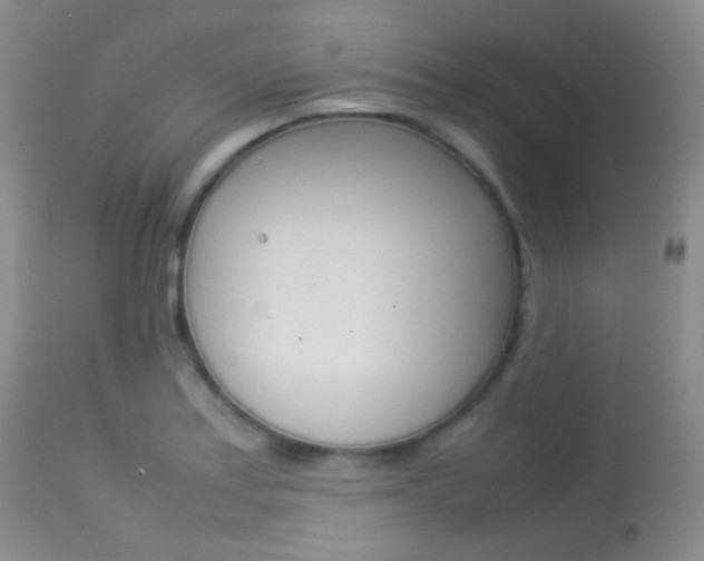 X0000113621179200909181108