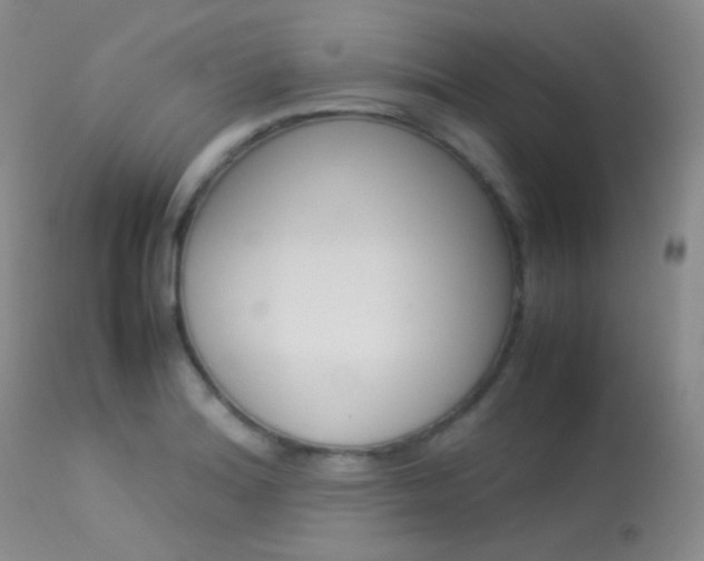 X0000113621180200909181108