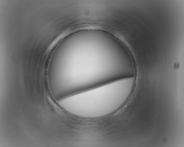 X0000113621181200909181108