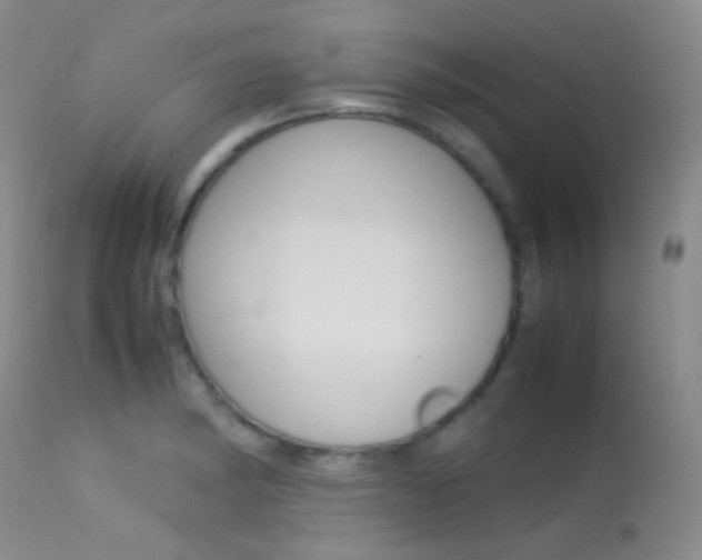 X0000113621182200909181108