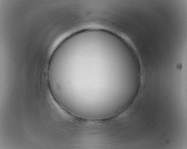 X0000113621183200909181108