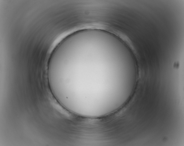 X0000113621184200909181108