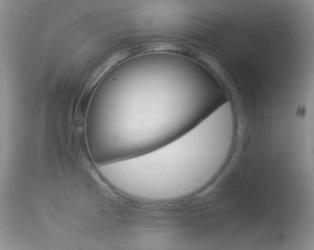 X0000113621185200909181108