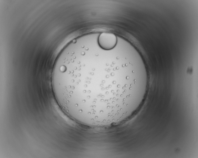 X0000113621186200909181108
