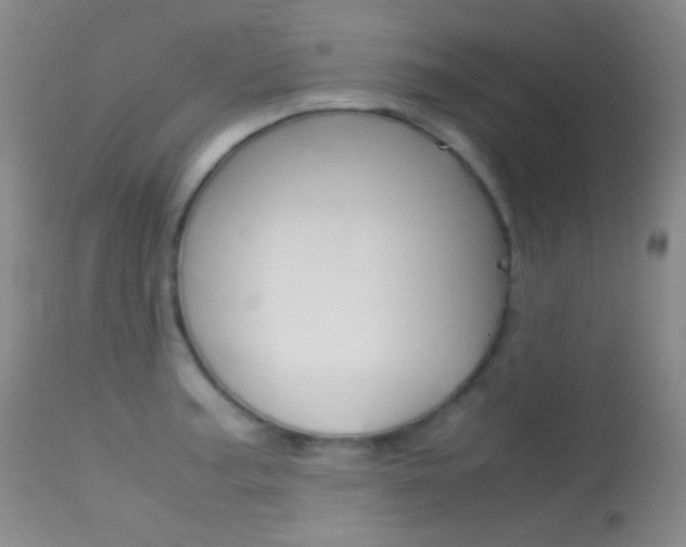 X0000113621187200909181108