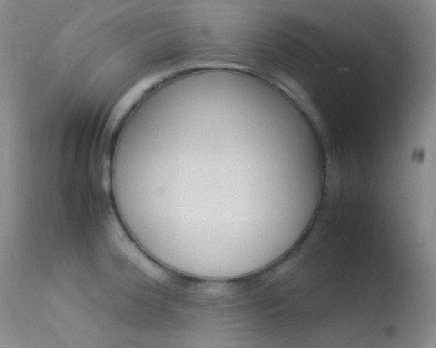 X0000113621188200909181108