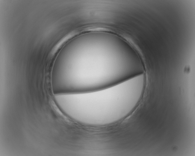 X0000113621189200909181108
