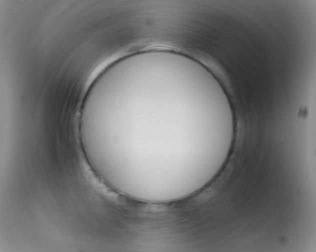 X0000113621190200909181108