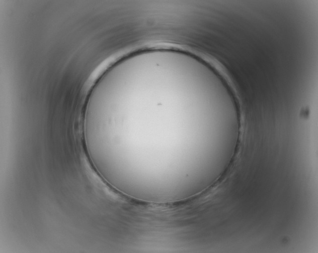 X0000113621191200909181108