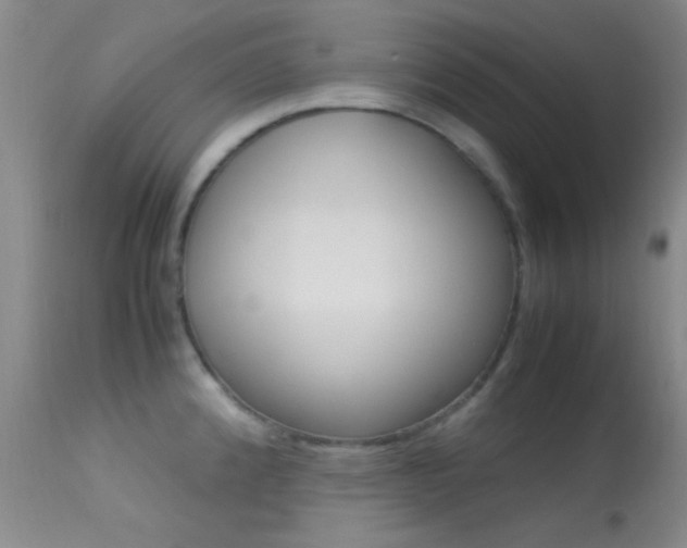 X0000113621192200909181108