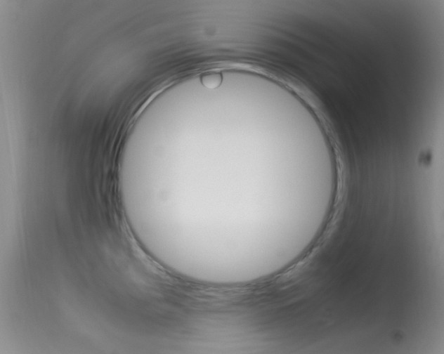 X0000113621193200909181108