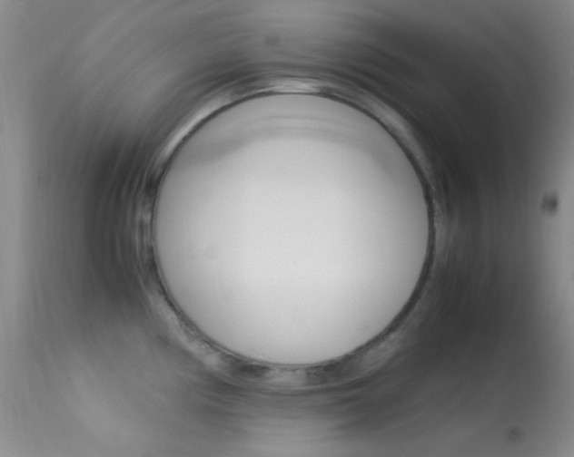 X0000113621194200909181108