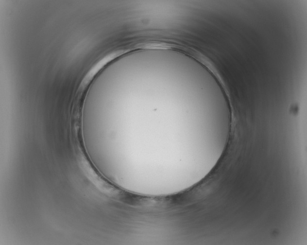 X0000113621195200909181108