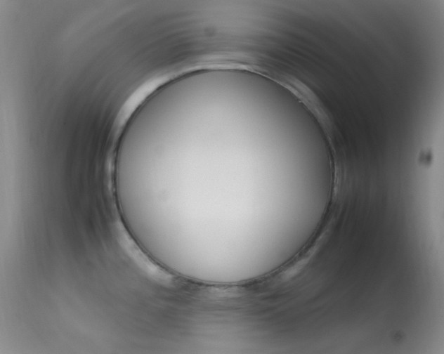 X0000113621196200909181108
