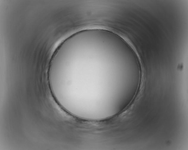 X0000113621197200909181108