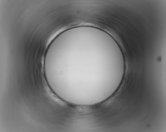 X0000113621198200909181108