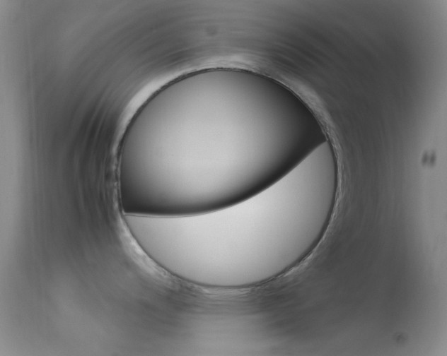X0000113621200200909181108
