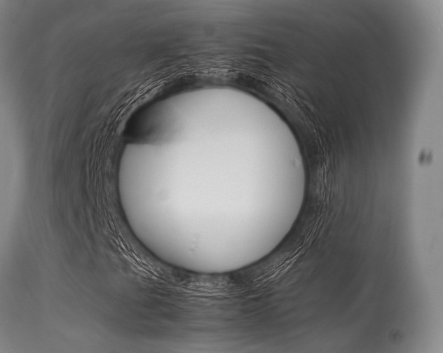X0000113621201200909181107