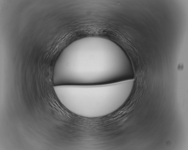 X0000113621202200909181107