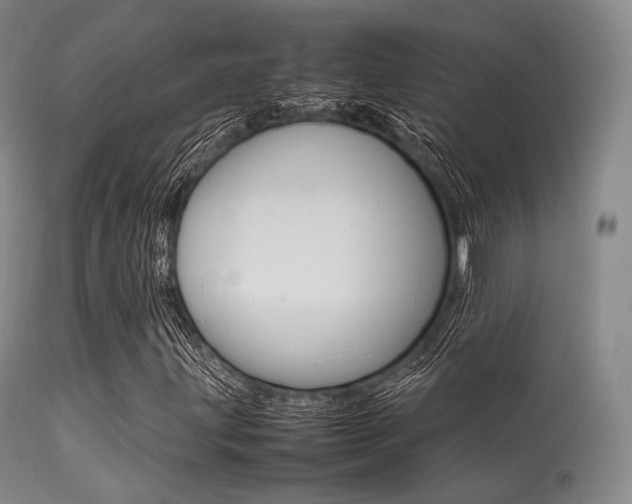 X0000113621203200909181107