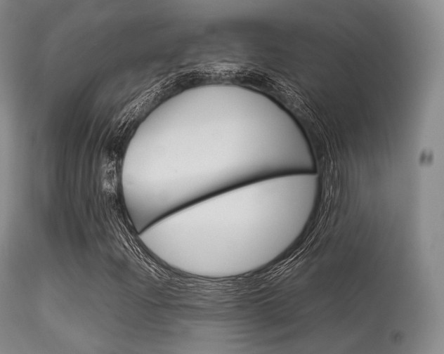 X0000113621204200909181107
