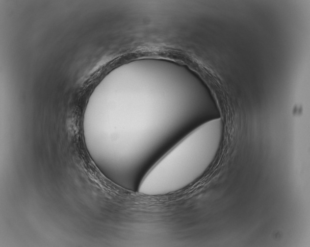 X0000113621206200909181107