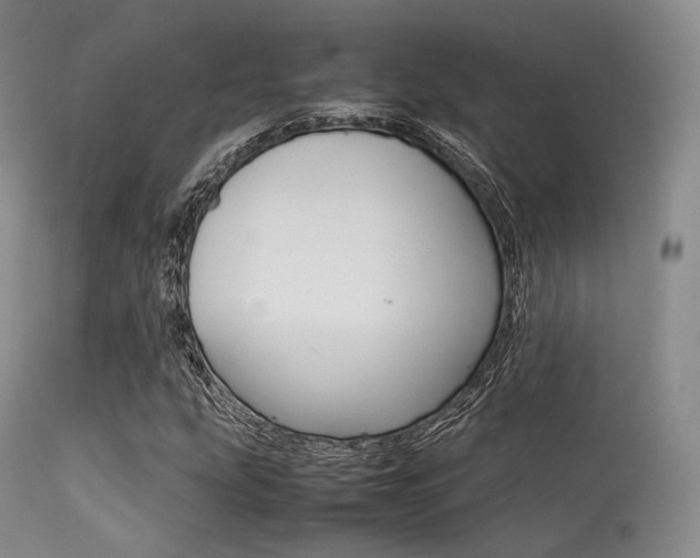 X0000113621207200909181107