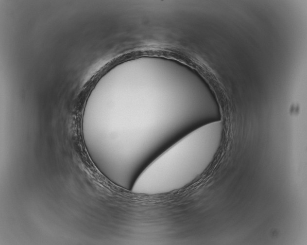 X0000113621208200909181107