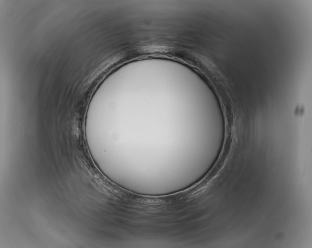 X0000113621209200909181107