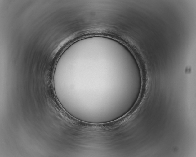 X0000113621210200909181107