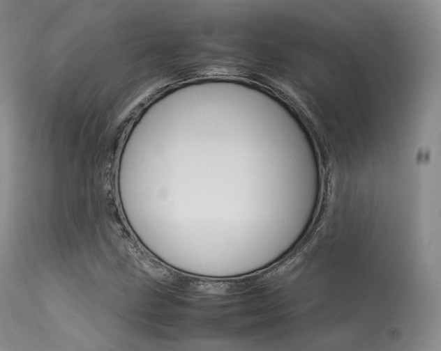 X0000113621211200909181108