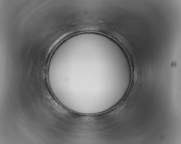 X0000113621212200909181108