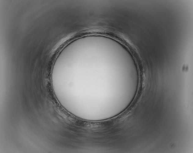 X0000113621213200909181108