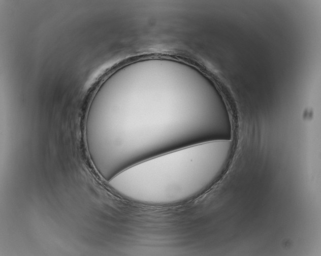 X0000113621214200909181108