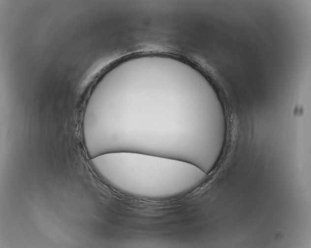 X0000113621215200909181108