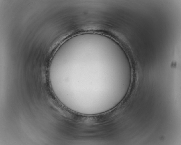 X0000113621217200909181108