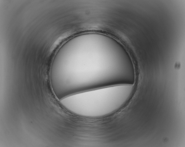 X0000113621218200909181108