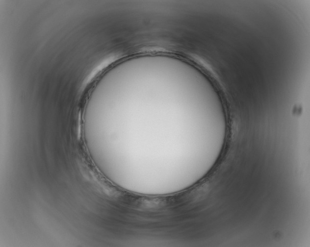 X0000113621219200909181108