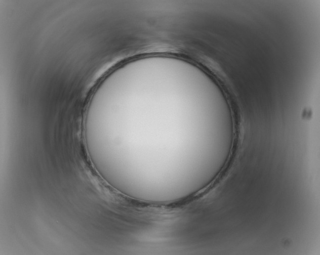 X0000113621220200909181108