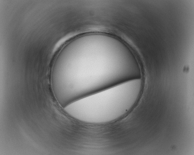 X0000113621222200909181108