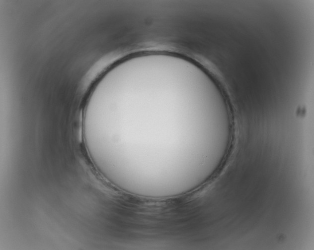 X0000113621223200909181108