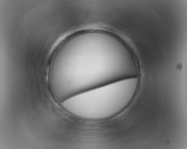 X0000113621224200909181108